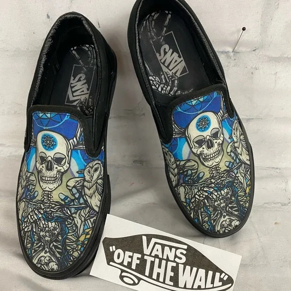 Vans Skull Slip Ons - Picture 1 of 10